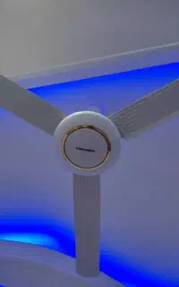 پلوم  ۶۲سانتی پره بزرگ