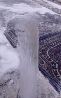 قالیشویی مبلشویی 56466672تضمینی بلضمانت