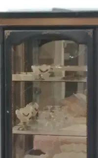 بوفه رایگان