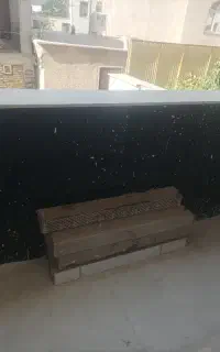 شاگردسنگکاری