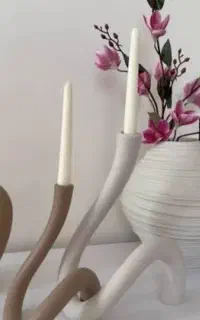 تندیس های خاص