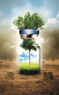 پایان وابستگی به مواد با گیاهان دارویی