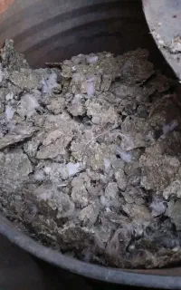 سلام ۱۵ گونی کود کبوتر فروشی