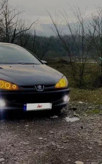 پژو ۲۰۶ مدل ۸۷