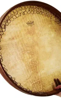 گروه موسیقی ودف نوازی بانوان
