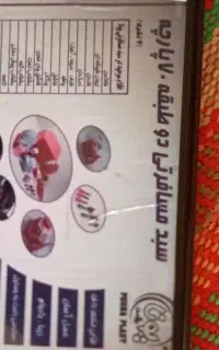 سبد مسافرتی