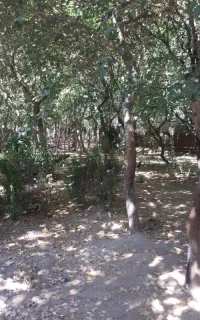 کیف مدارک درشهرآراگم شده