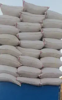 کاه‌‌گندم‌دیم‌