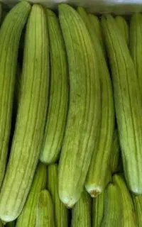 خیار چنبر