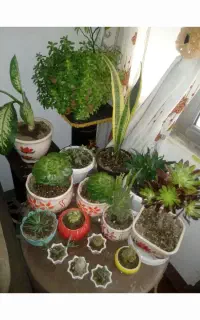 نیروی خوب برای نظافت