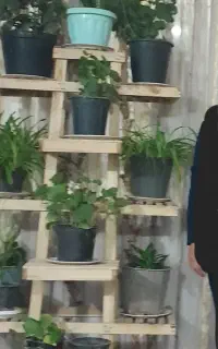 پایه گل ده تا گل دون