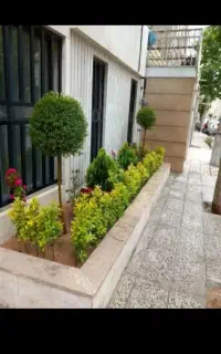 هرس وسمپاشی درختان باغ وباغچه گل وگیاه وعلف زنی