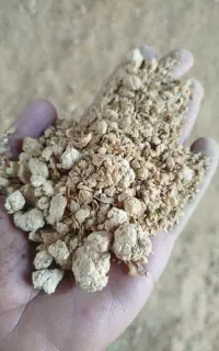 خوراک دام و طیور