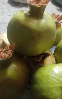فروش انار ترش و خوشمزه