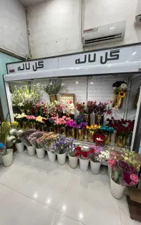 یخچال پرده هوا