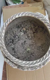 گلدان سفالی بزرگ