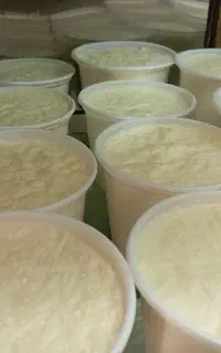 شیر ماست دوغ کره محلی روغن گاوی