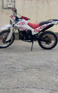 راتو۲۵۰درحدخشک
