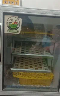 دستگاه جوجه کشی اتومات