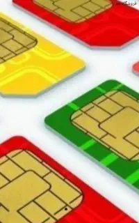 88 6006 09999