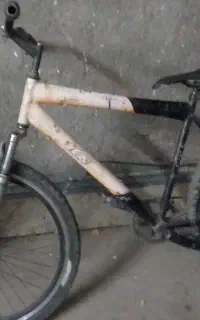 دوچرخه