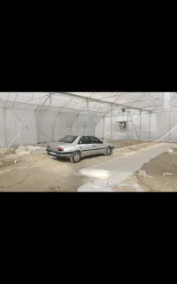 ۴۰۵ روپا و قشنگ