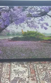 تابلو چراغدار .تابلو ۷رنگ
