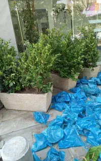 خدمات باغبانی تعویض خاک گلدان طراحی باغچه باغبان
