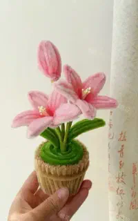 گل‌های مخملی پیپ