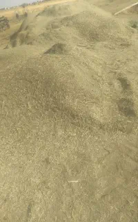 یونجه