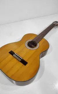 گیتار Pao chia