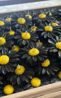 شمع برای نذری
