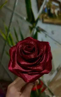 گل ربانی