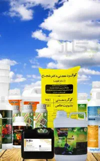 جذب نیرو/کارشناس فروش