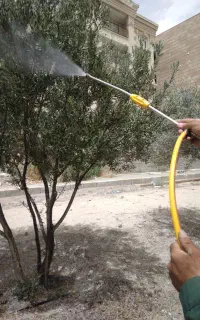 انجام خدمات باغبانی و سمپاشی
