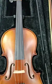 ویولن fender  اصل کره