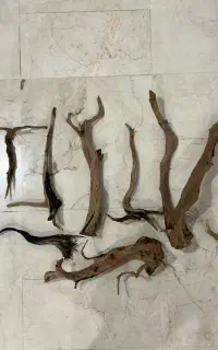 ۷ تکه چوب آبنوس خارجی