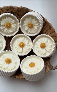 شات بابونه های عطری