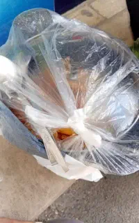 پیداشده