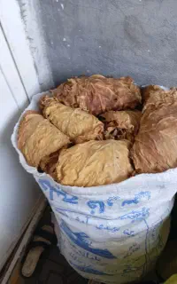 کاهودرختی