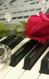 dj - خواننده - کیبورد
