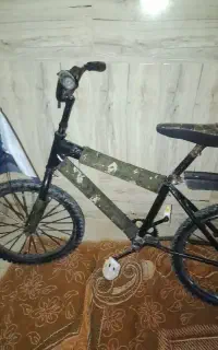دوچرخه بیستوک