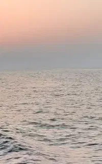 فروش خط رند کیش