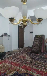 ۵ عددلوسترسه شاخه خیلی تمیز