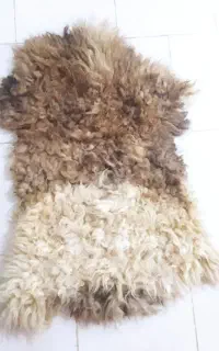 پوست دباغی شده گوسفند