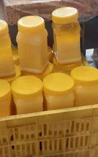 روغن زرد گاویی وعسل چهارگیاه درگز
