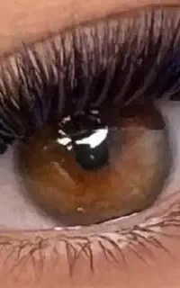 استخدام اصلاح کار