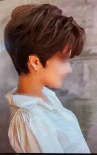 مدل رایگان
