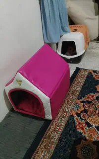 خونه ی گربه و سطل شن و خاک گربه و غذای گربه