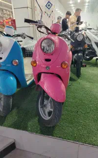 پاکشتی صورتی،سبز،آبی